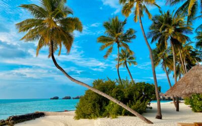 Sonnenschutz für den Urlaub – Schützen Sie Ihre Haut mit den richtigen Produkten ☀️🏖️